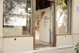 Camarones Arte Contemporáneo