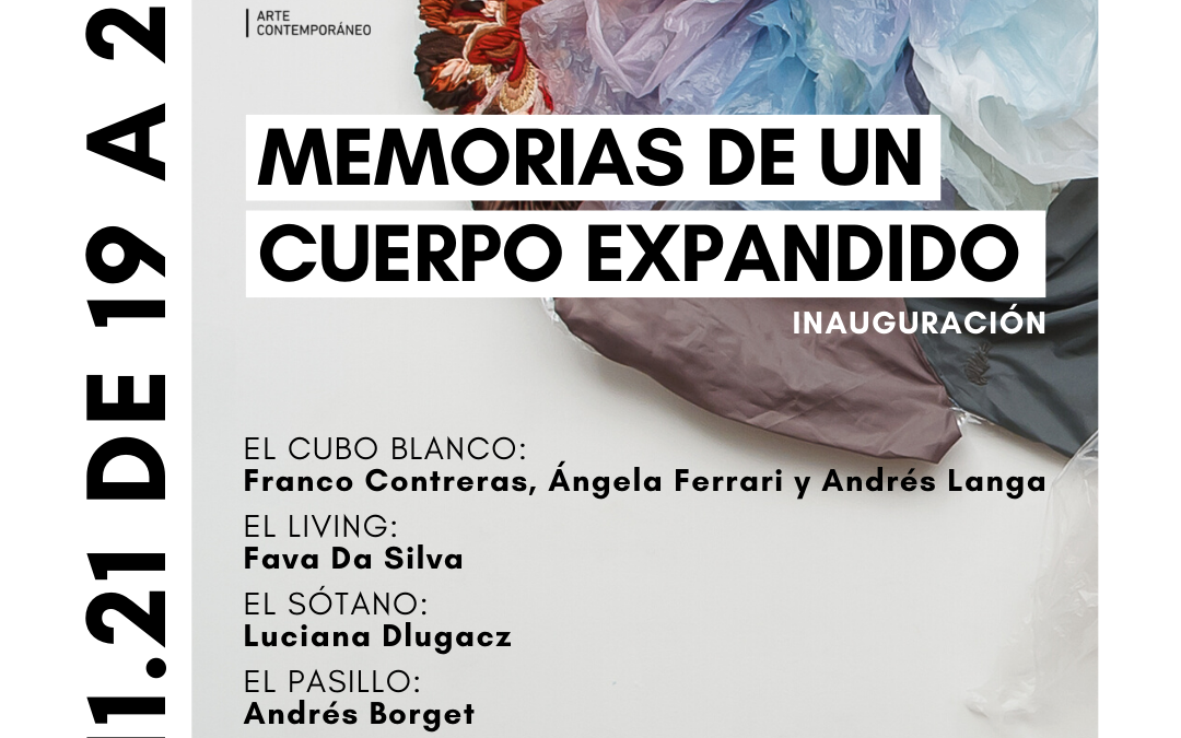 Camarones Arte Contemporáneo