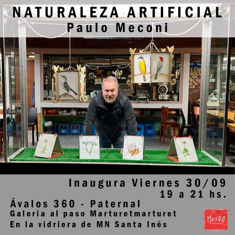 Taller Musgo en la vidriera de MN Santa Inés