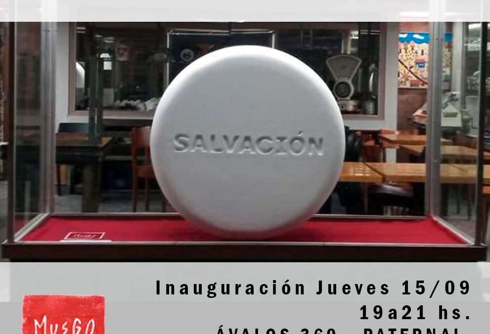 Taller Musgo en la vidriera de MN Santa Inés