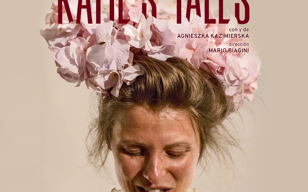 «Katie´s Tales» en Área 623