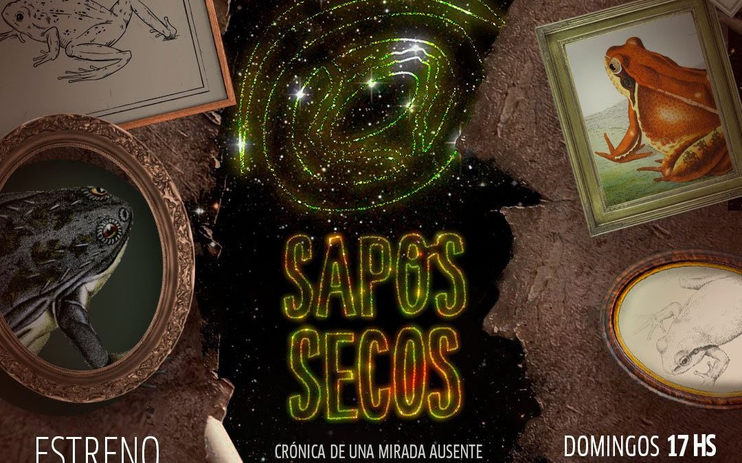 “Sapos secos. Crónica de una mirada ausente” en El Extranjero