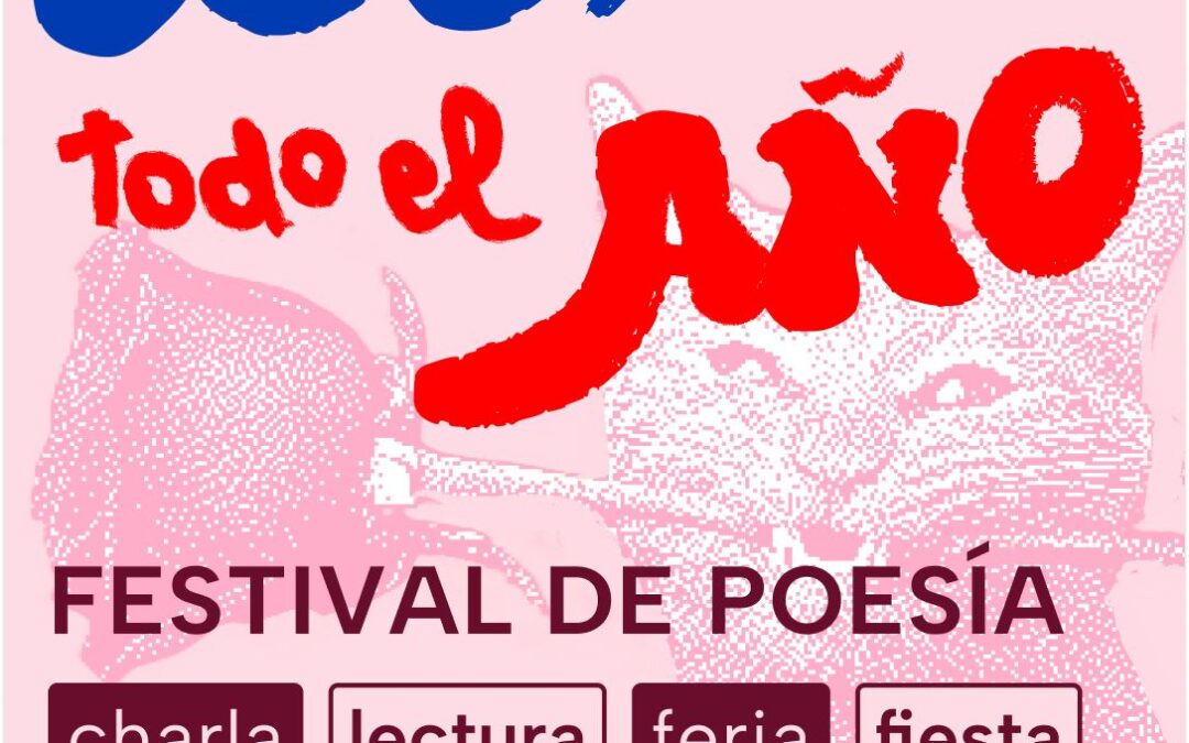 Festival Miau Todo el Año en Cooperativa Cultural Qi