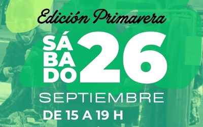 Feria de la Fuente en Parque Chas