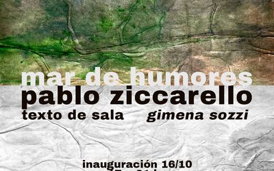 “Mar de humores” de Pablo Ziccarello en El Local